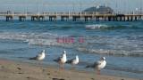alassio2
